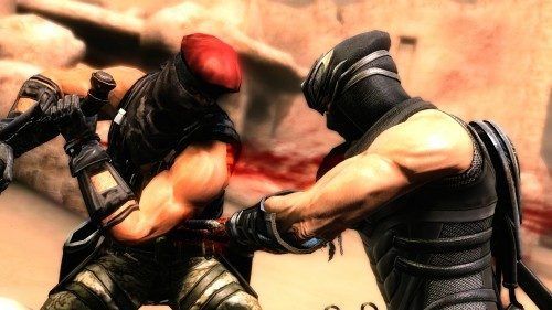 ninja gaiden 