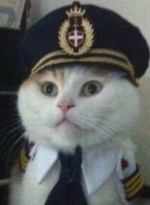 Captain Cat, el juego del verano ya está aquí