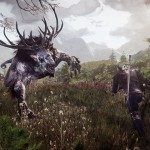 The Witcher 3: The Wild Hunt Galería 13