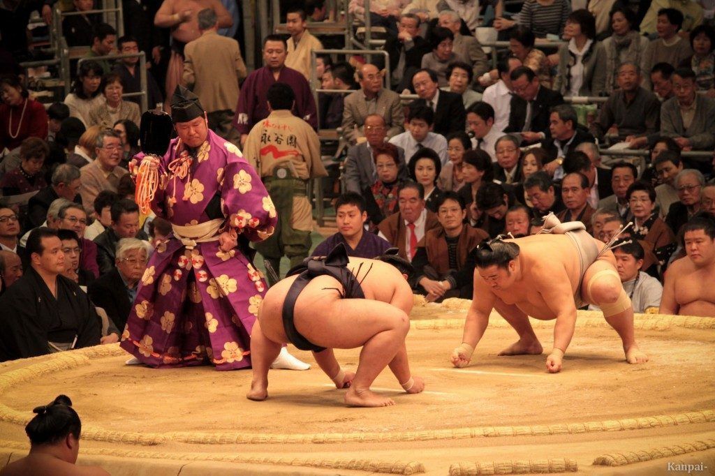 sumo