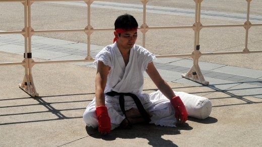 tgs 2013 cosplay ryu