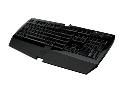 razer arctosa