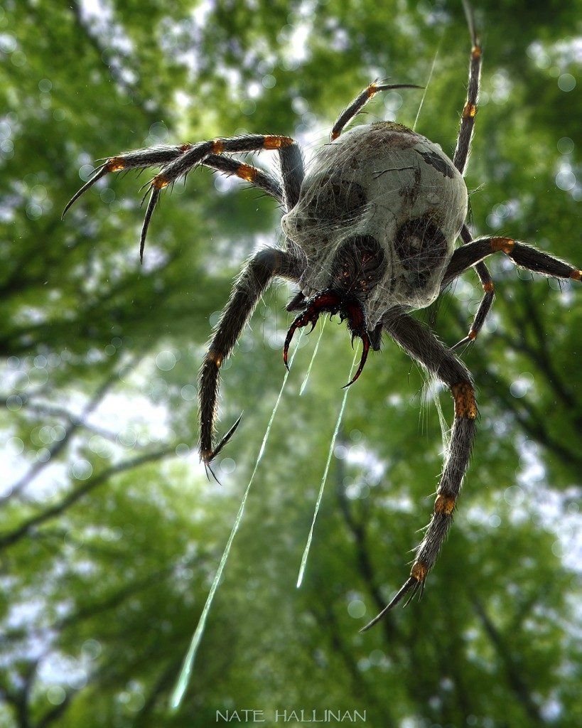 Nate Hallinan interpretando una araña de The Legend of Zelda