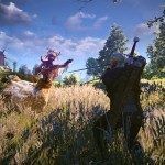 The Witcher 3 Wild Hunt