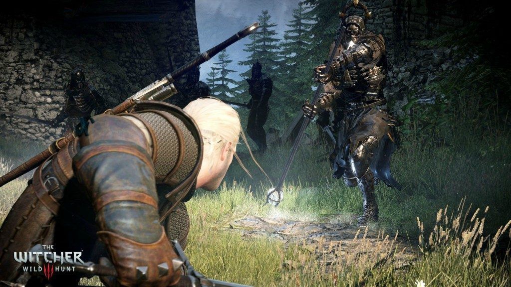 The Witcher 3 Wild Hunt