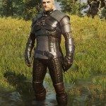 The Witcher 3 Wild Hunt