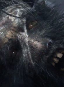 Filtrado metraje de Bloodborne, el prometedor exclusivo de PS4