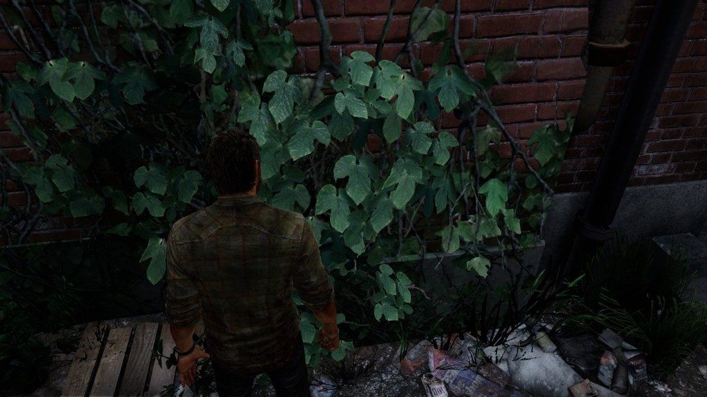 The Last of Us Remastered