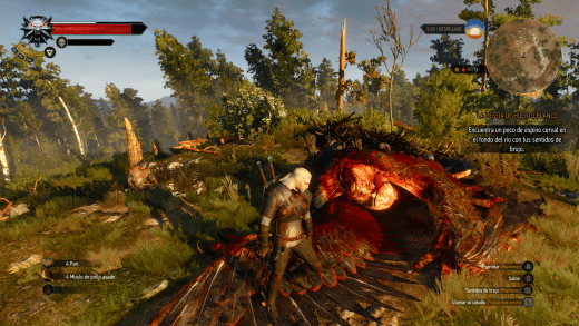 The Witcher 3