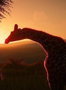 Planet Zoo y el testigo de Zoo Tycoon