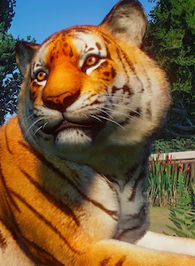 Análisis Planet Zoo: Gestión con claroscuros