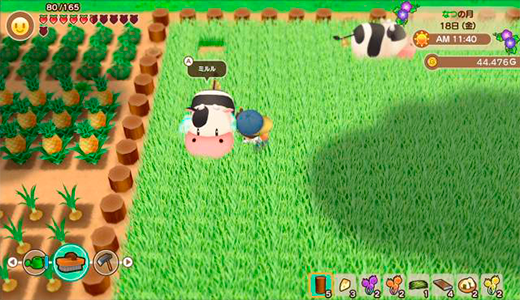 Granja en Story of Seasons: Friends of Mineral Town